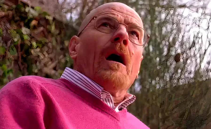 Пасхалка второго сезона, предсказавшая катастрофу Во все тяжкие