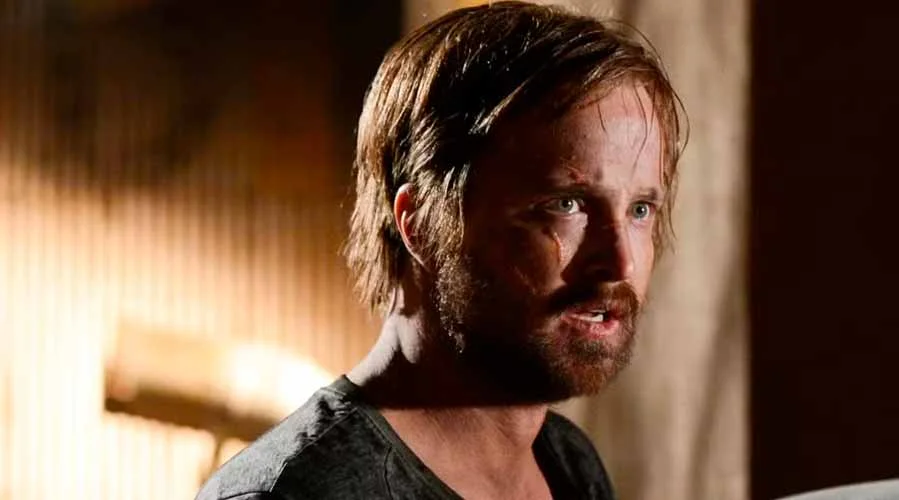 Во все тяжкие: 8 фанатских теорий, которые так и не сбылись