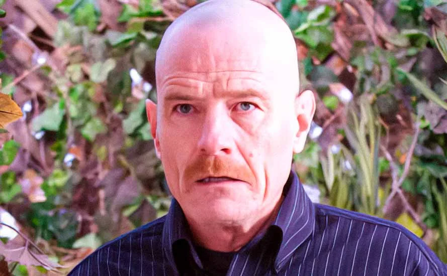 Смысл самой мрачной сцены Во все тяжкие